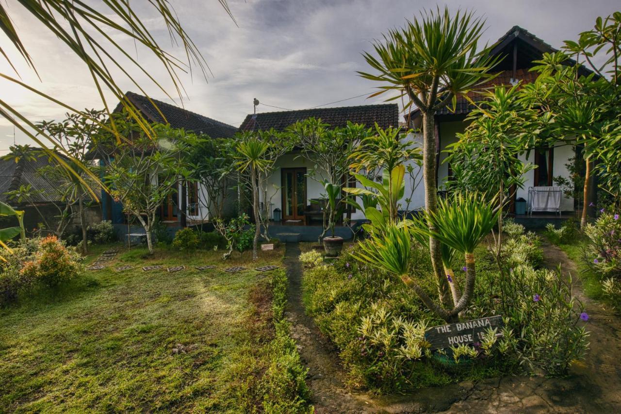 The Banana House Hotel Sakti Exterior foto